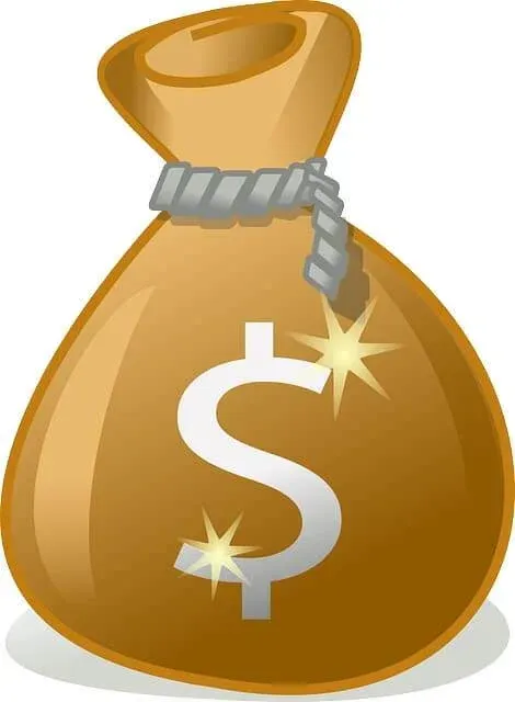 Triple H Net Worth